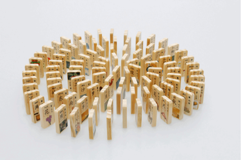 厂家直销 双面100块片汉字多米诺骨牌儿童识字认字木制玩具