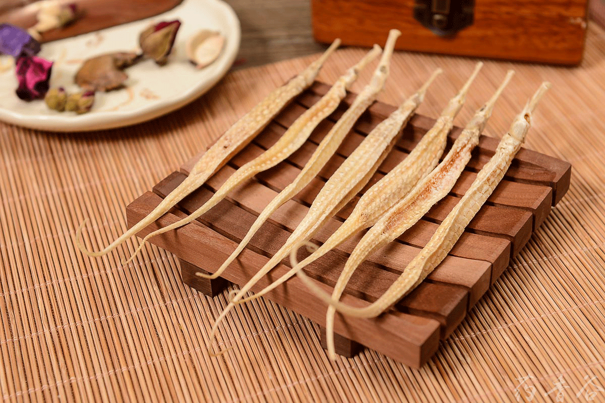 中草药批发渔家海龙批发50g起批