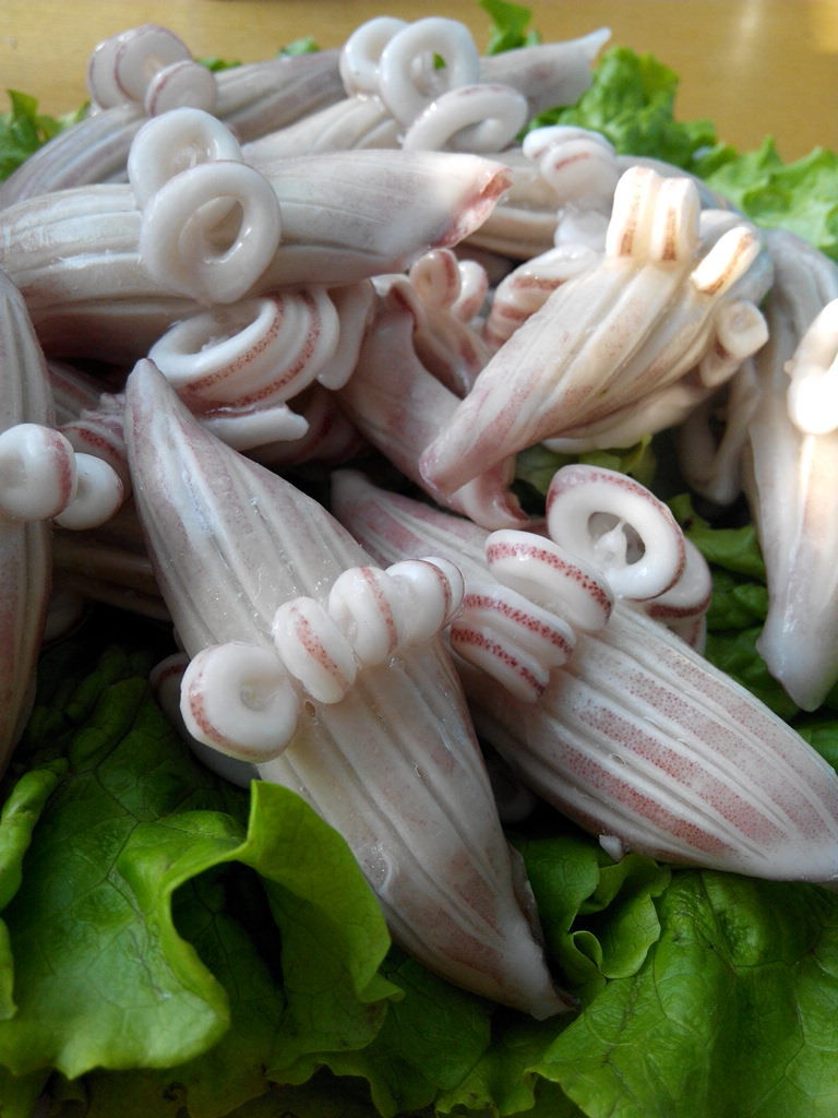 威海特产 爽脆原汁牛角花牛尾花 水产品质保证 海产品加工