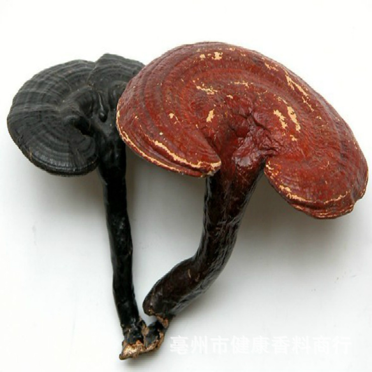 5 kg品名:灵芝别名:赤芝,木灵芝,菌灵芝,红芝,万年蕈等.