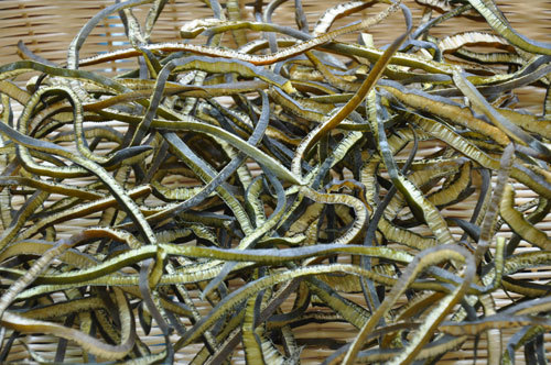 批发进口南极海茸丝海笋素食蔬菜海藻食品干海货青岛特产海木耳