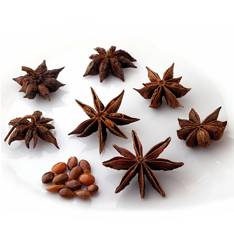 如何识别真假八角茴香