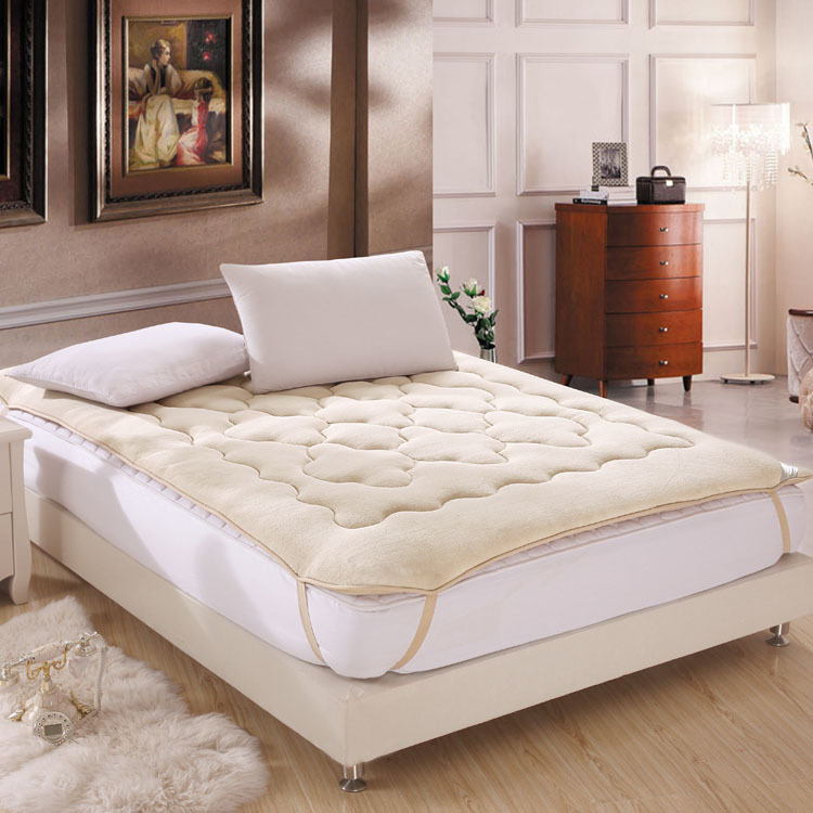 厂家直销 批发热销珊瑚绒床垫榻榻米人双人婴儿学生宿舍床褥垫被