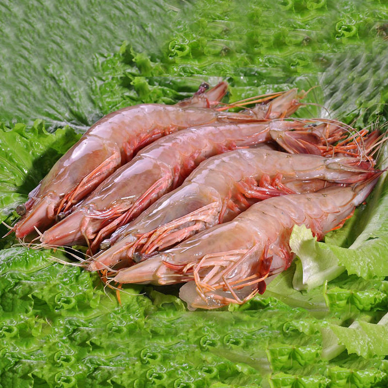 冷冻海鲜水产品 高档渤海湾对虾 肉质鲜美 优质鲜活水产品批发