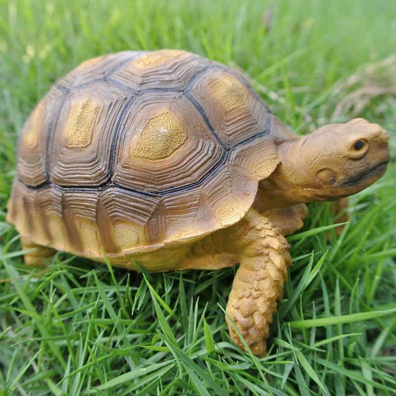 苏卡达陆龟仿真乌龟模型树脂工艺品摆件居家装饰礼品别墅水族爬宠