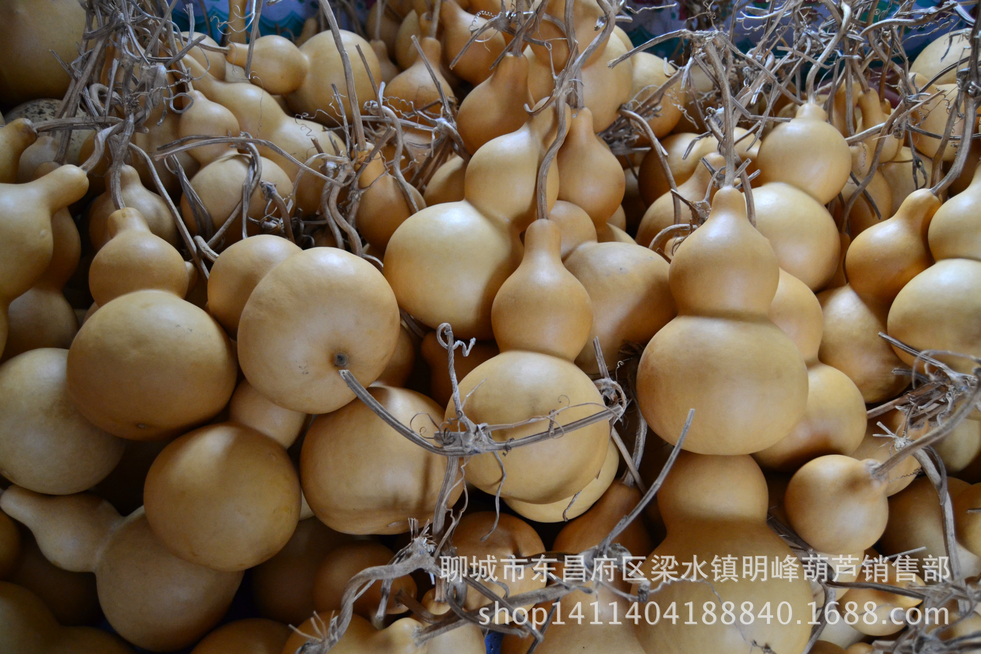 天然葫芦中号18-25厘米大量批发