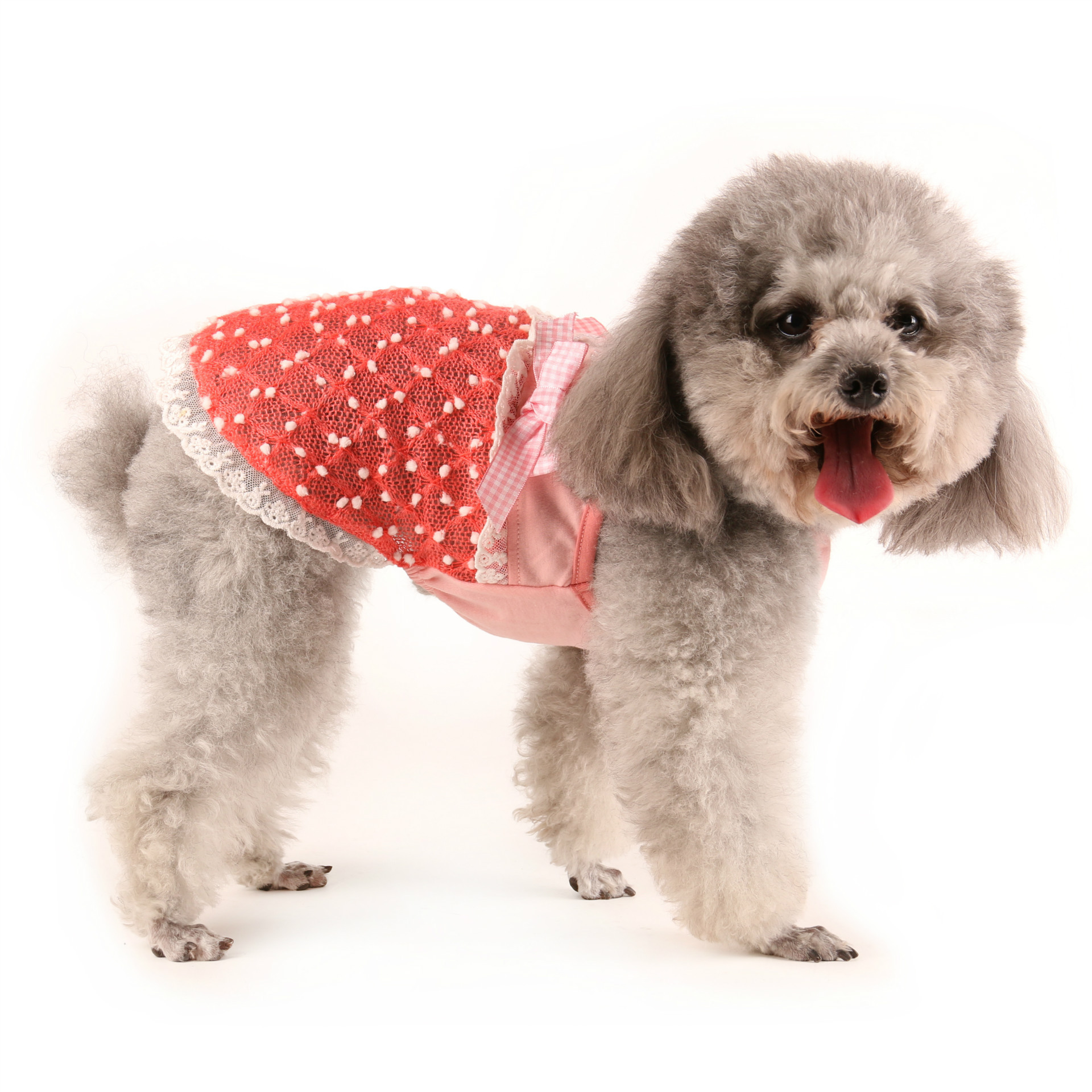 宠物衣服春夏新款 狗狗吊带网眼公主裙 时尚两脚裙 泰迪比熊衣服