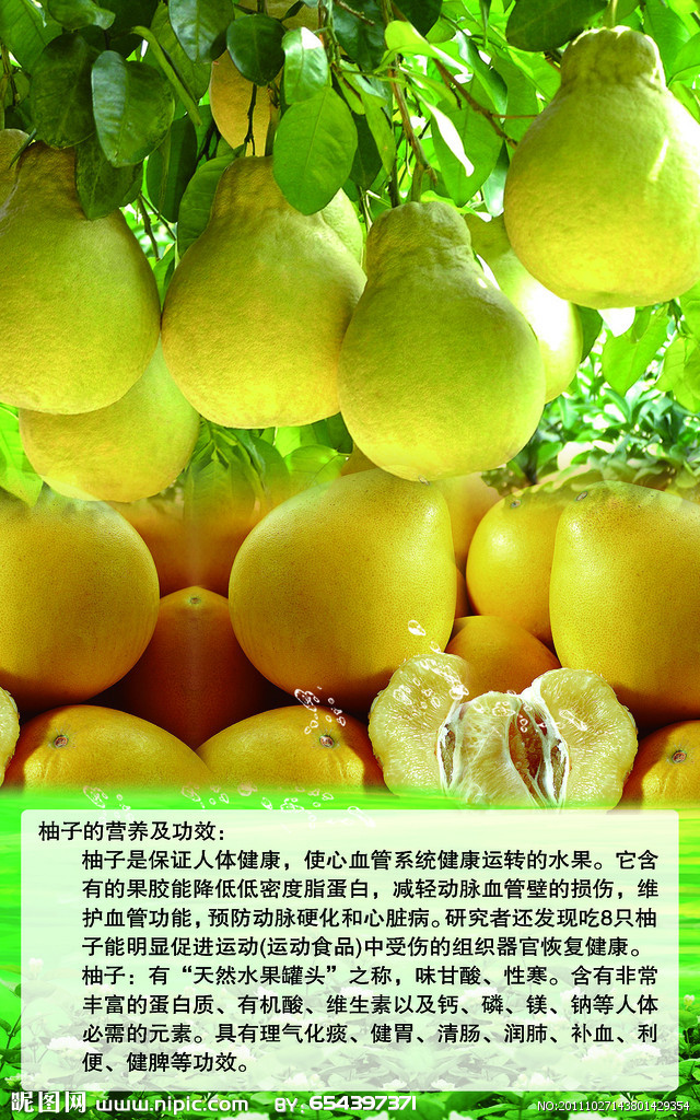 正宗新品种巨型天皇蜜柚柚子苗柚子树柚子树苗果树苗当年结果