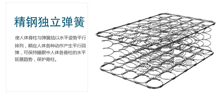 圣茜 天然椰棕床垫 家具厂家批发弹簧席梦思床垫 可定做 特价促销