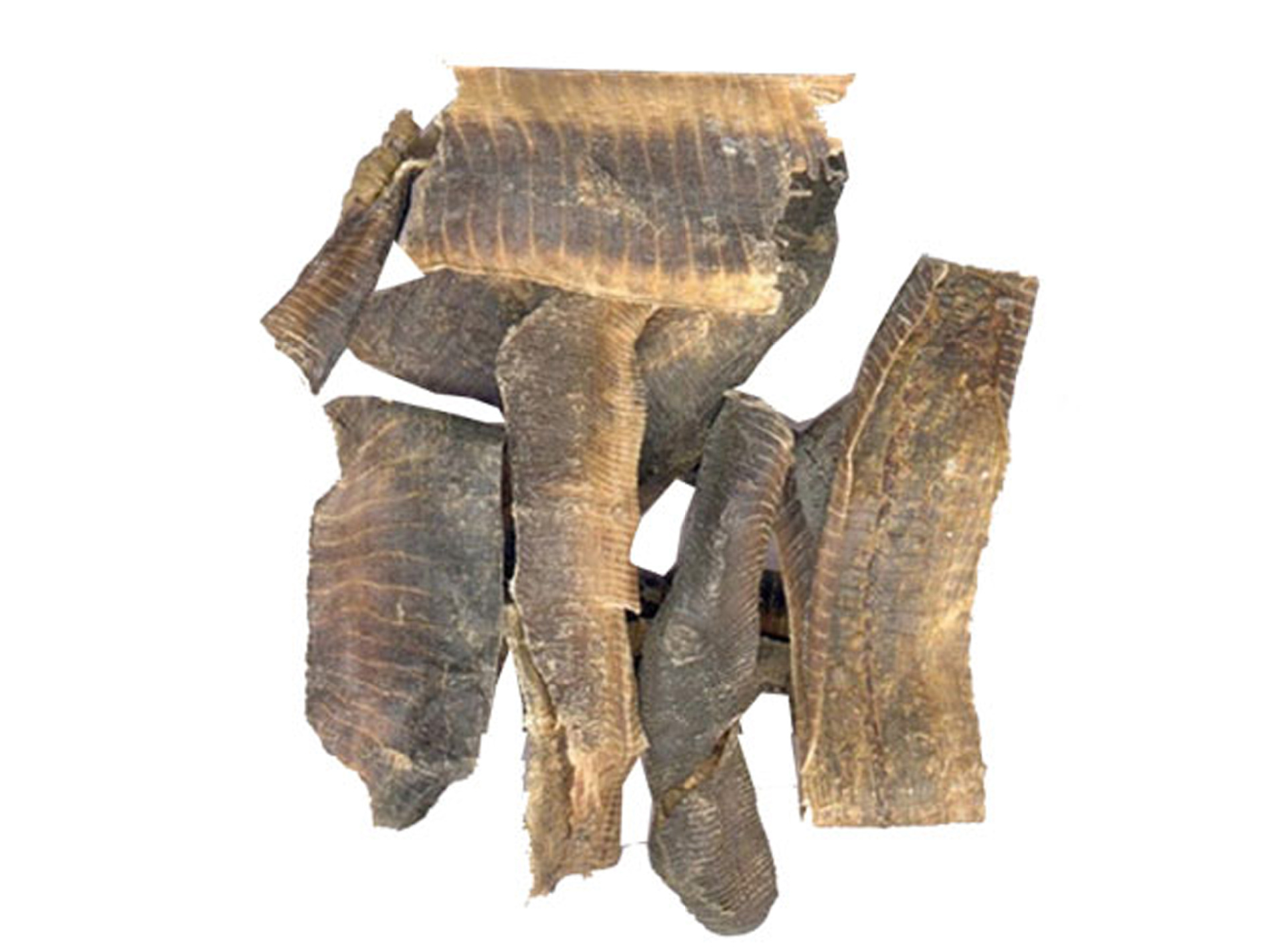 大量批发 地龙 段条 各种中药材批发