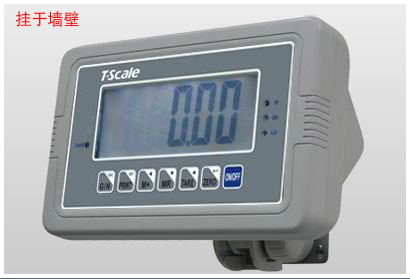 数字式称重显示器_称重显示控制器_地磅称重时前后显示重量误差5kg