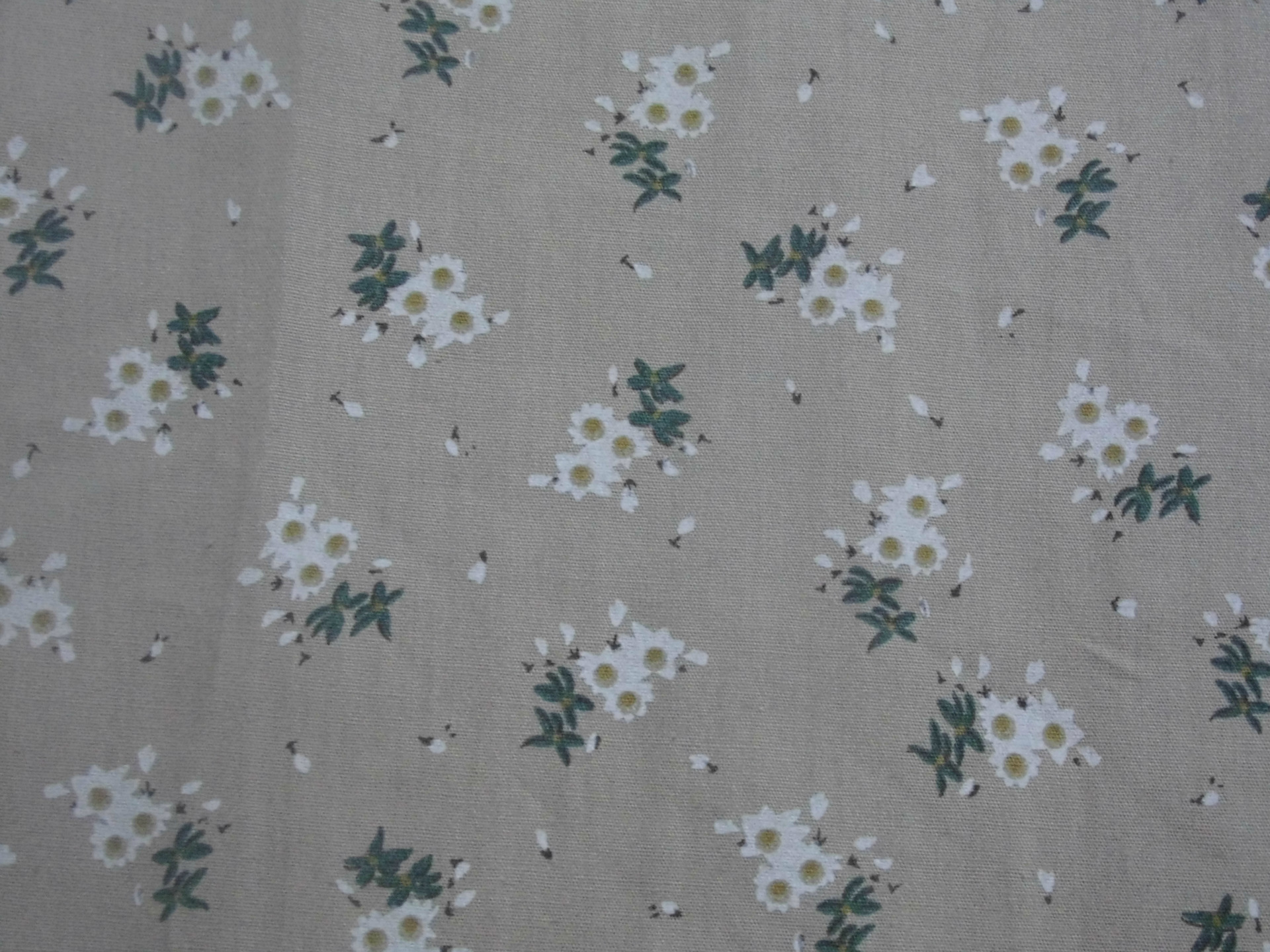 ȫ��Ⱦ�׭h��ӡ�� 40*40 133*72