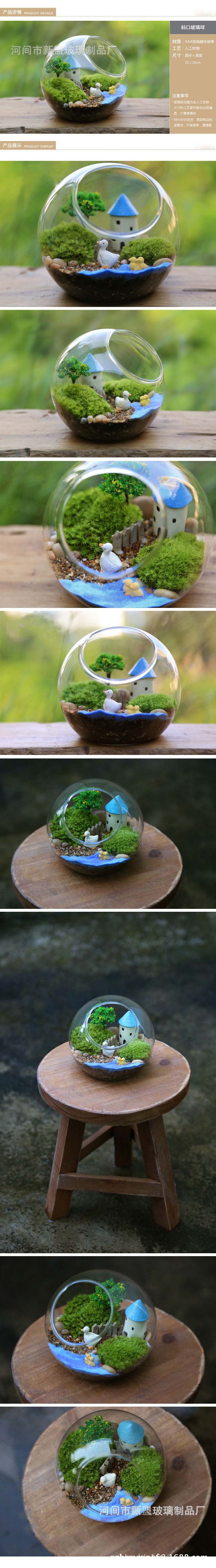 微世纪 大中小号 斜口玻璃瓶 苔藓多肉微景观diy造景生态.