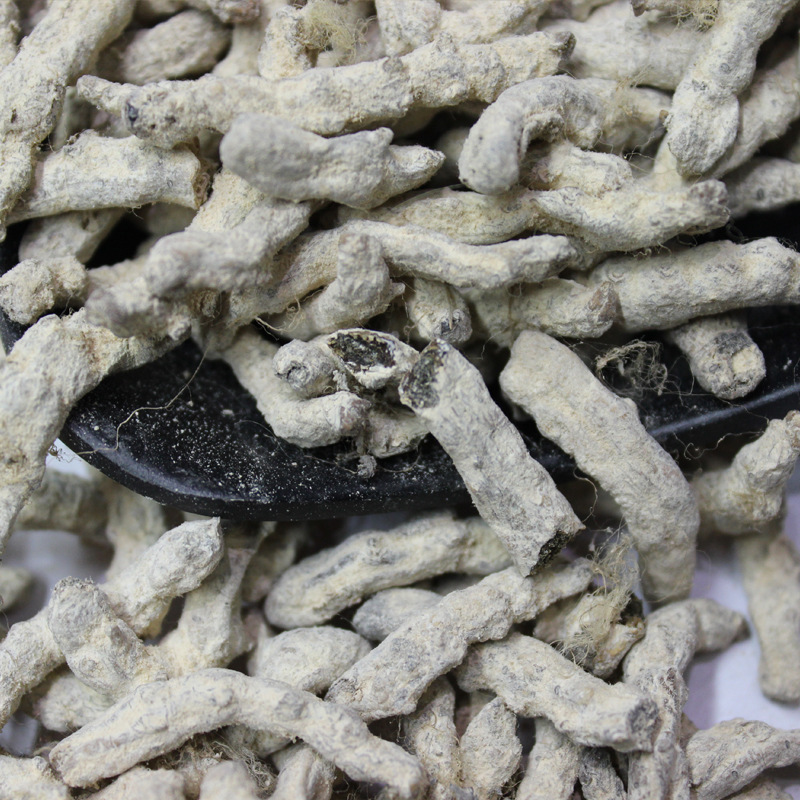 直销 中药材蚕虫 美白养颜 白僵蚕 保障质量 特级僵蚕干 清水无料