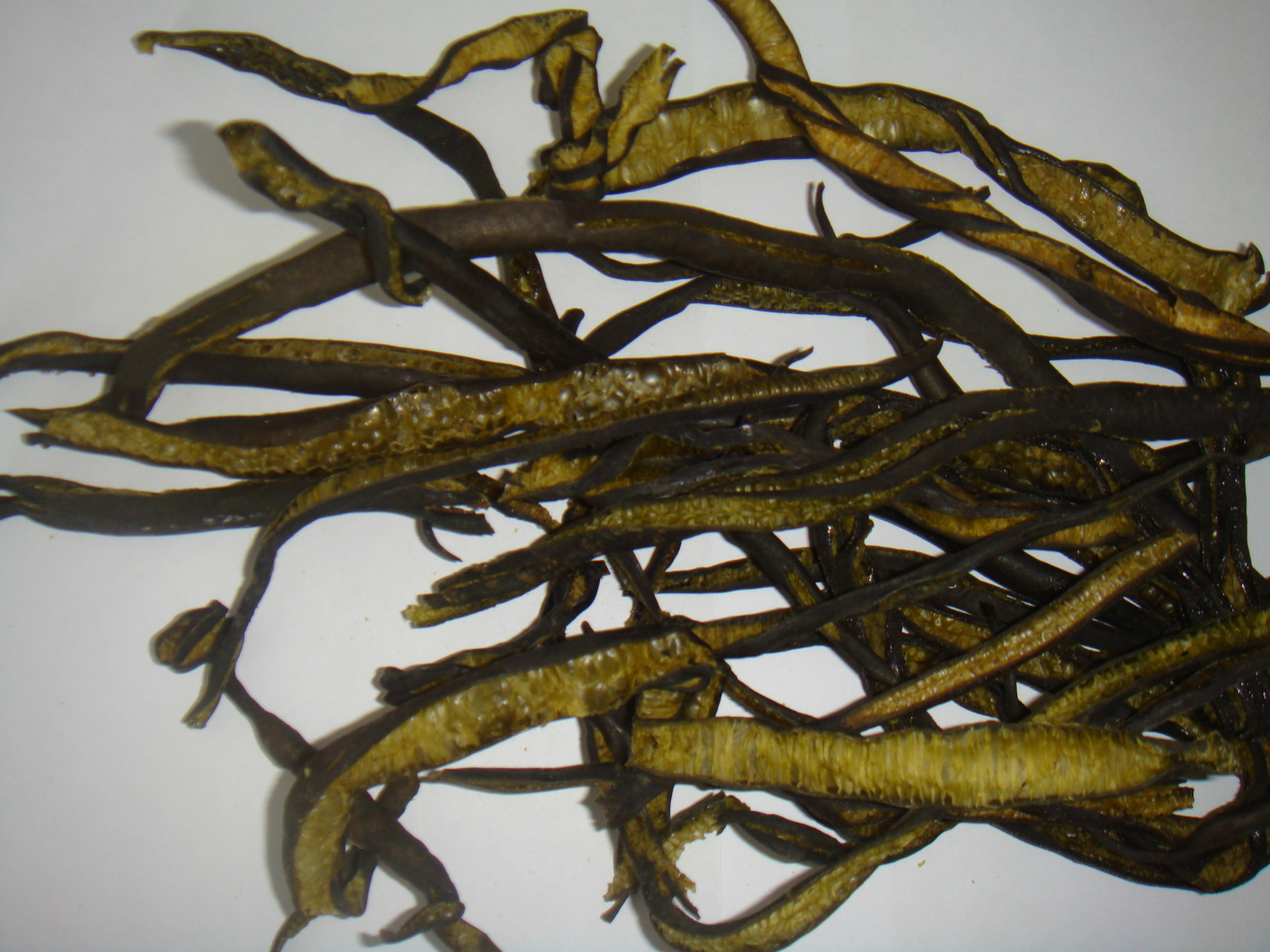 营养丰富天然无污染健康新时尚富含矿物质海藻素食批发南极海茸