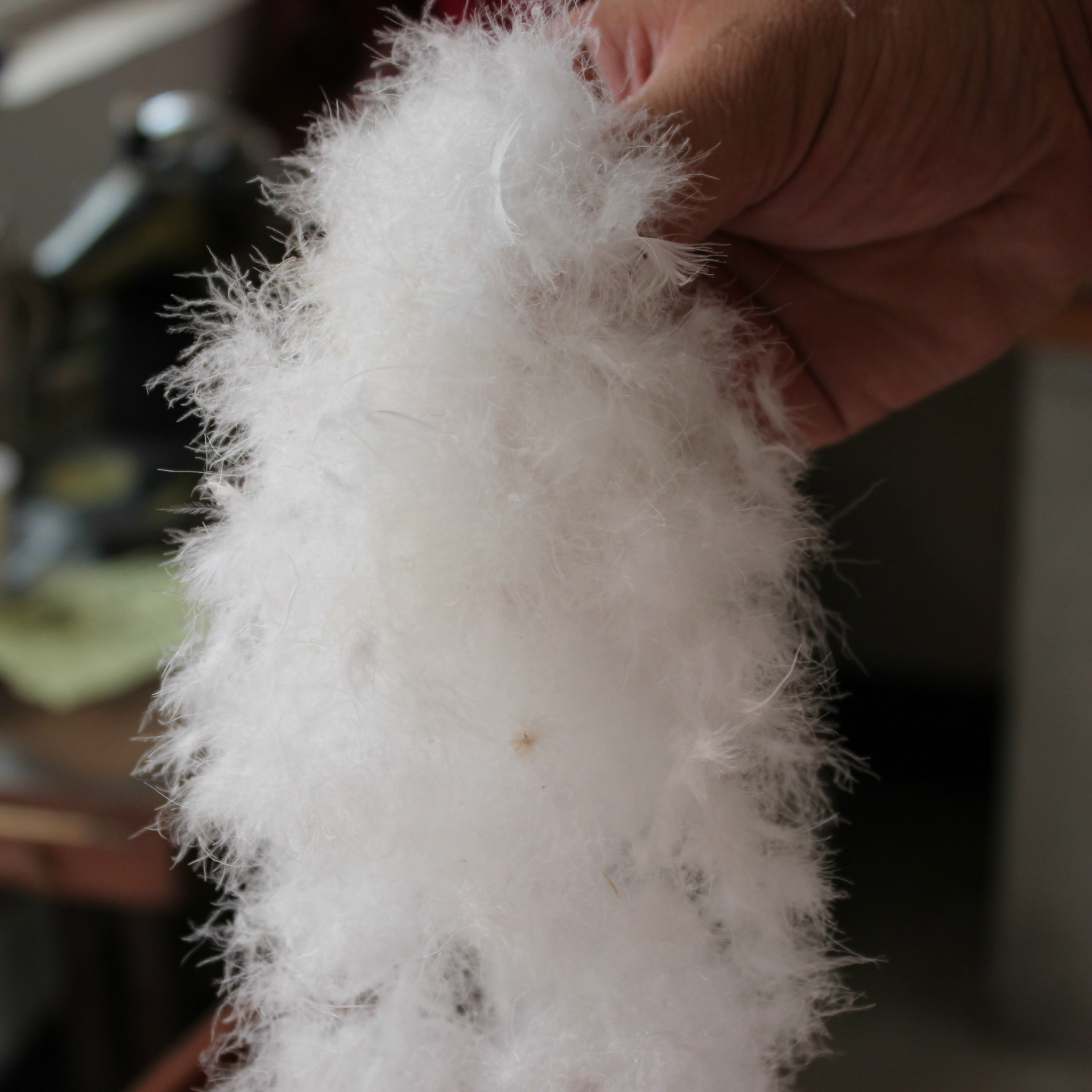 厂家直销 内销吊绒90白鸭绒 高蓬松 羽绒制品填充物 羽绒羽毛批发