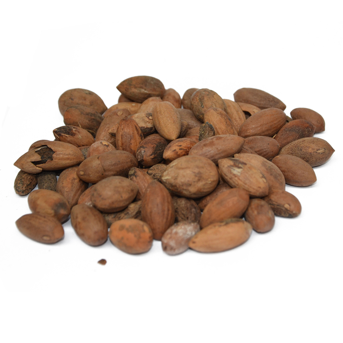 【正诚中药】 香榧 大榧子 冷背大全