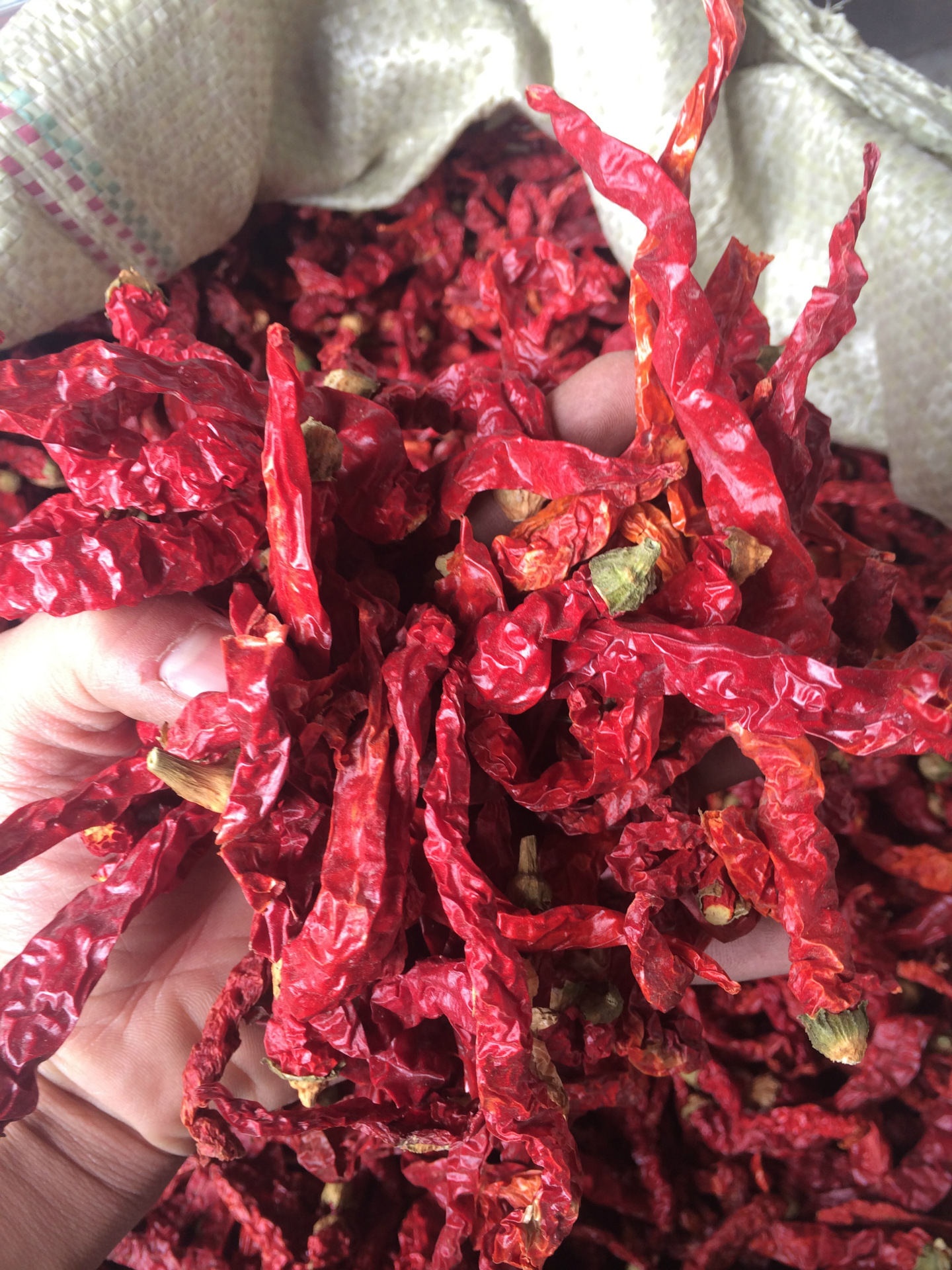 四川特产二荆条辣椒特香干辣椒地道的四川味辣椒粉香辣十足