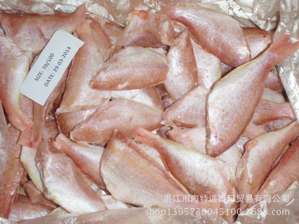 日本金线鱼japanesetreadfinbream