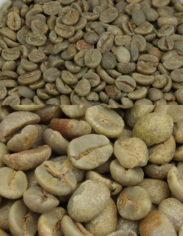 供应巴西咖啡生豆 喜拉多 cerrado 甄选17 18.