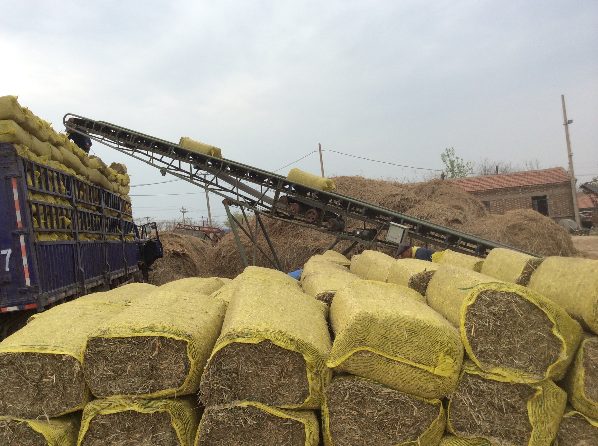 河北黄骅 揉丝干草 草捆 数量不多 欲购从速