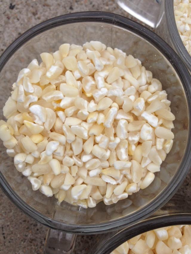 供应咖啡玉米原料白粘玉米干粒黄糯玉米干粒黄金豆原