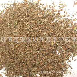 蛇床草_蛇床草价格_优质蛇床草批发\/采购