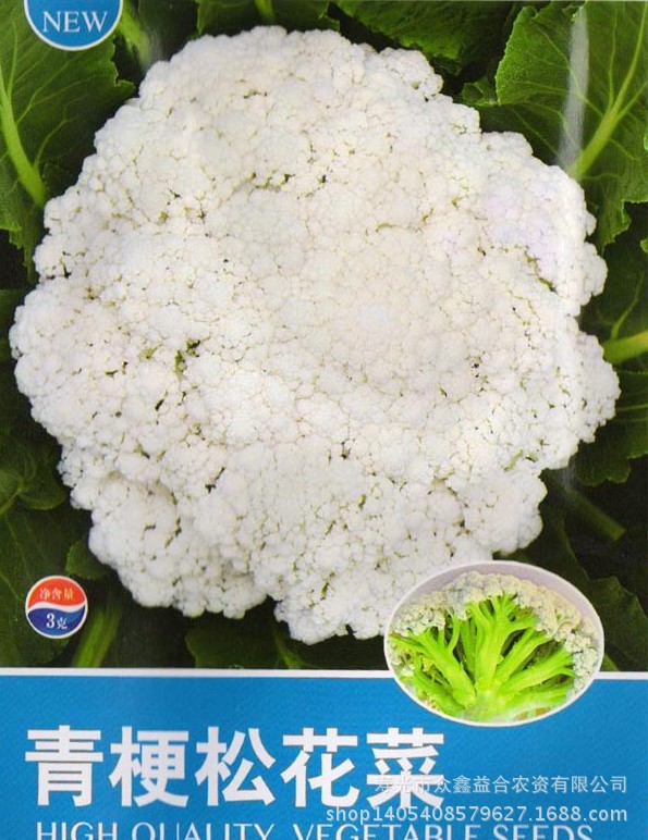 北京华耐青梗松花菜种子 花椰菜种子 中熟耐热耐湿 1克原装