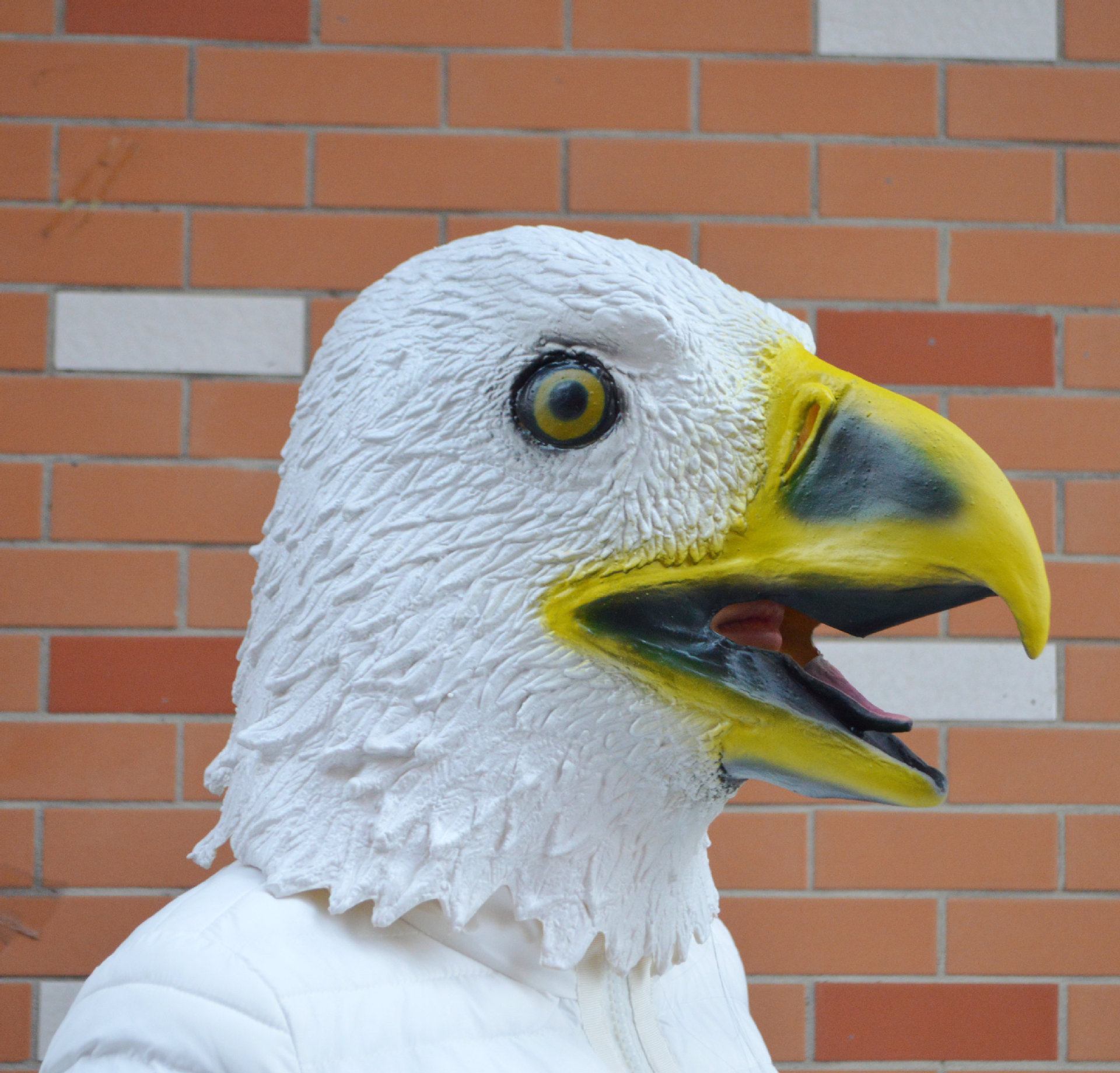 万圣节面具老鹰面具动物乳胶头套 尖嘴雄鹰面具 年会面具舞蹈