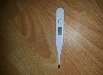 小鼠肛温计小白鼠肛温计动物肛温计大鼠肛温计老鼠电子温度计