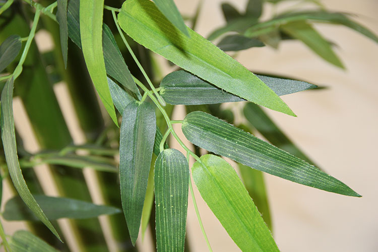 仿真竹 假竹子 6根真竹杆仿真叶竹子盆栽 场地摆设布景植物批发