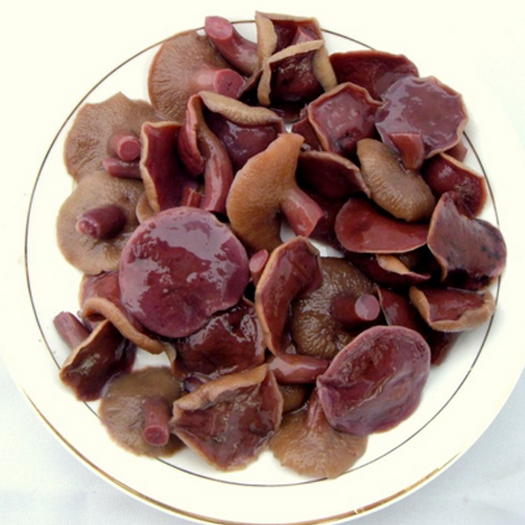 野生红乳牛肝菌干货 云南大理土特产蘑菇