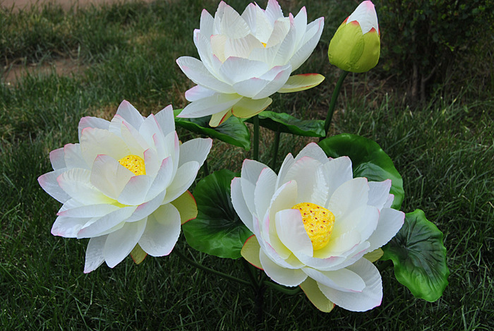 厂家批发 35厘米6色3头荷花 莲花/睡莲/供佛/家居装饰/表演道具