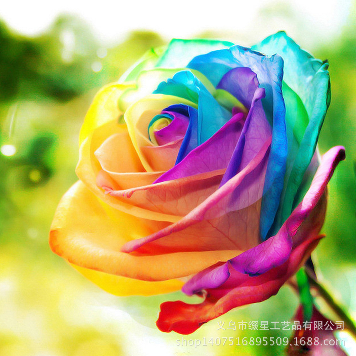 新款七彩玫瑰 钻石画diy 方钻满钻绣 客厅装饰 厂家直销图片定做