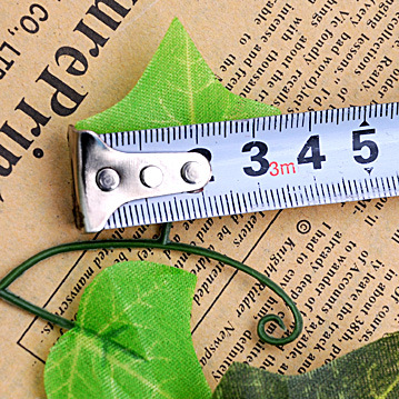 小叶宽度3.5厘米 浅色 小叶长度3厘米 浅色