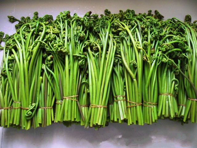 山野菜批发特产蕨菜干山货野生菜野菜干批发酒店特色菜原材料