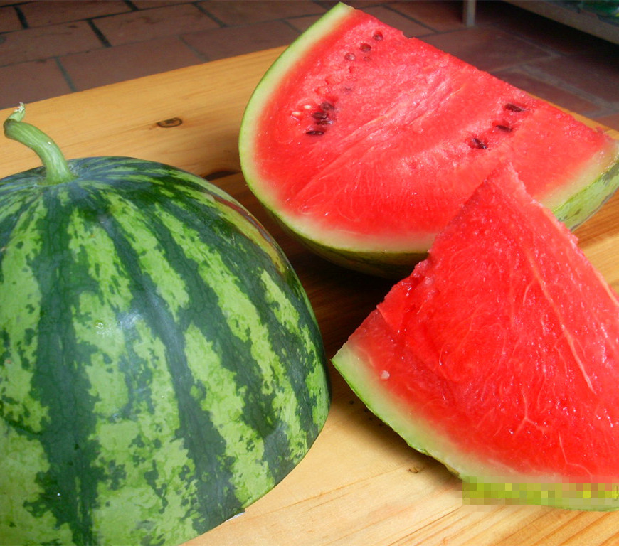 供应 泷井杂交花豹西瓜