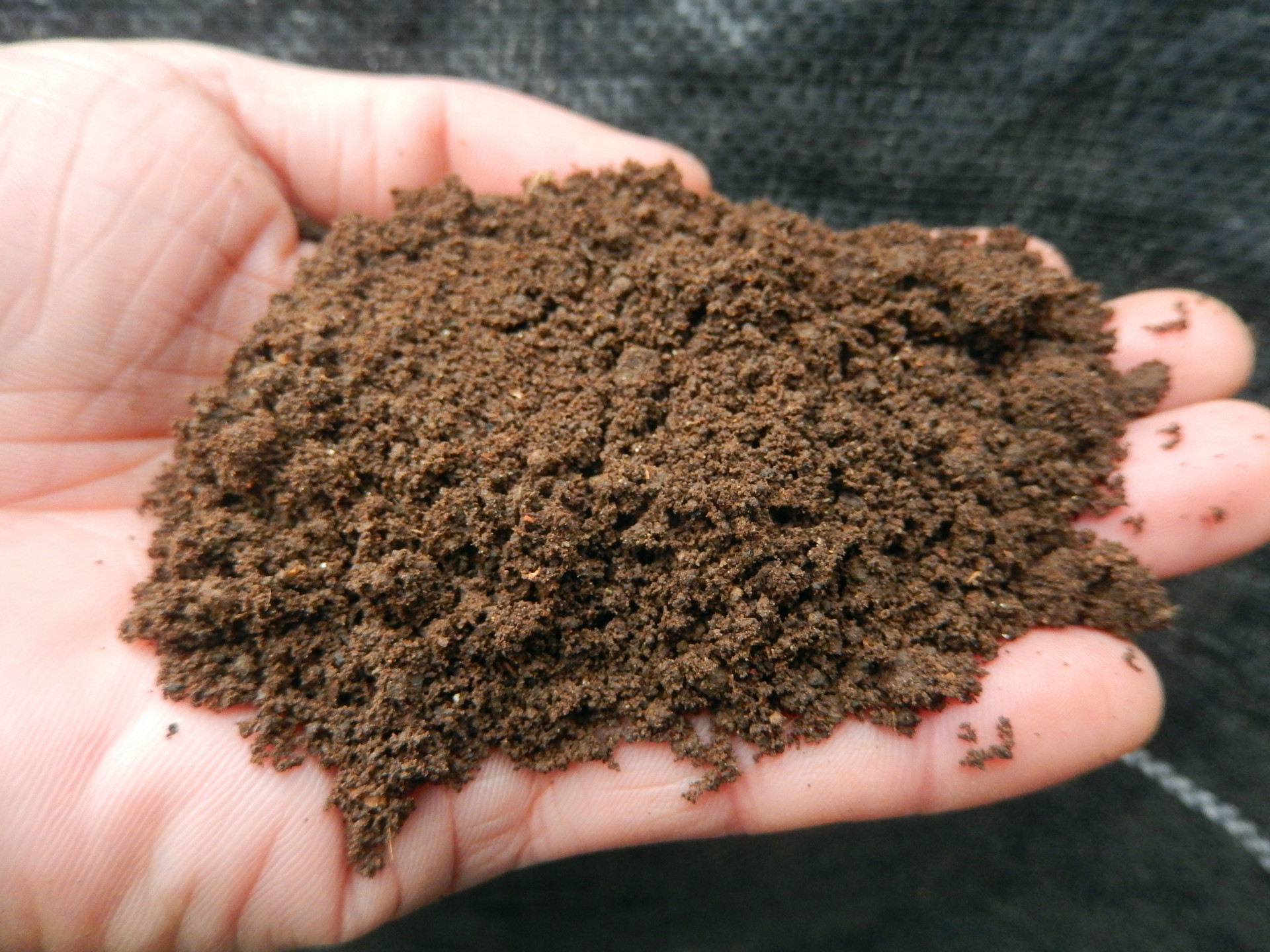 天然有机蚯蚓粪 蚯蚓有机肥 种花 无臭味1公斤