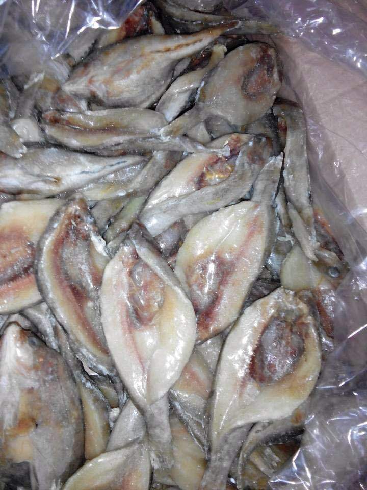 冷冻生开小黄鱼 冷冻海产品/海鲜 海鱼 冷冻黄鱼 质优价宜 批发