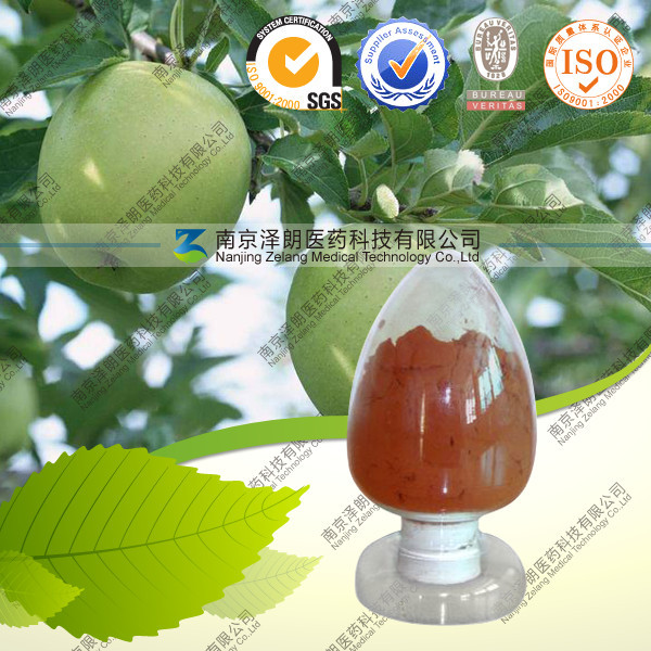 苹果提取物,苹果多酚