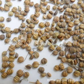 厂家特供 质量保证 石落子,莳萝籽,莳罗籽.