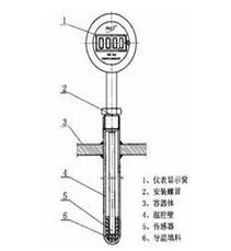 带pt100输出的内电源显示温度计