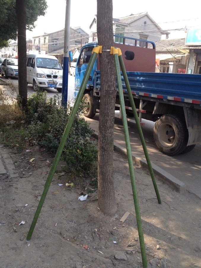 树木支撑,园林树木支撑杆