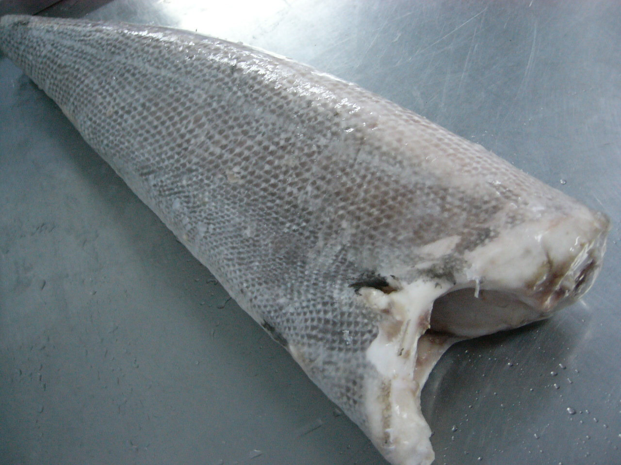 南非进口粗鳞细鳞油甘鱼(龙鳕鱼,马加鳕)大马哈鱼刺身食材