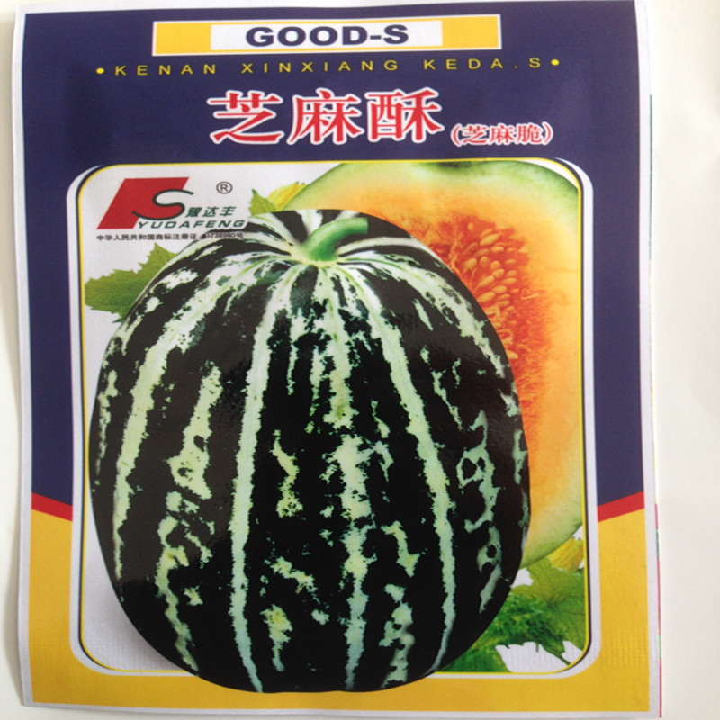 蔬菜种子芝麻酥甜瓜种子 口感好 中晚熟品种 总生育期80天