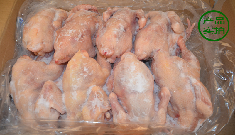 立华食品 童子鸡三黄鸡肉鸡冰鲜冷冻 炸鸡烧烤原料 厂家直销批发