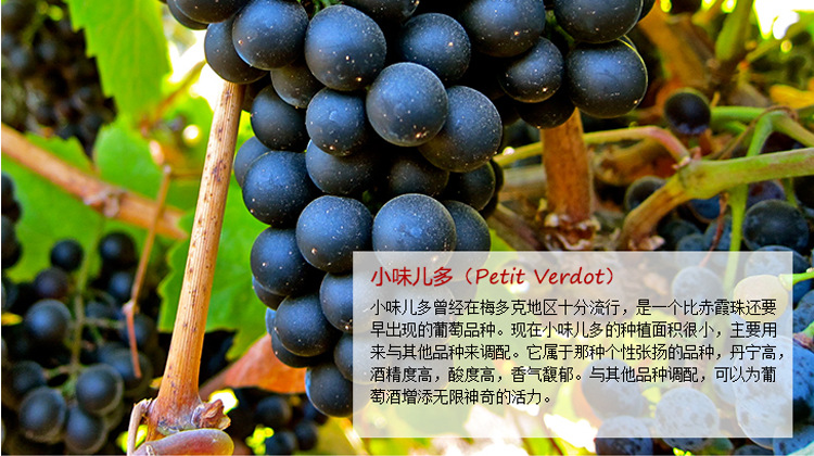 小味儿多petit verdot