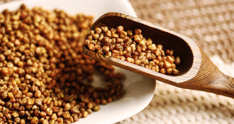 四川大凉山特产苦荞茶200野荞茶(手提装)苦荞茶强劲奥林批发益身