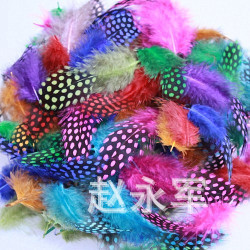 T1PytSXyJfXXXXXXXX_!!0-item_pi