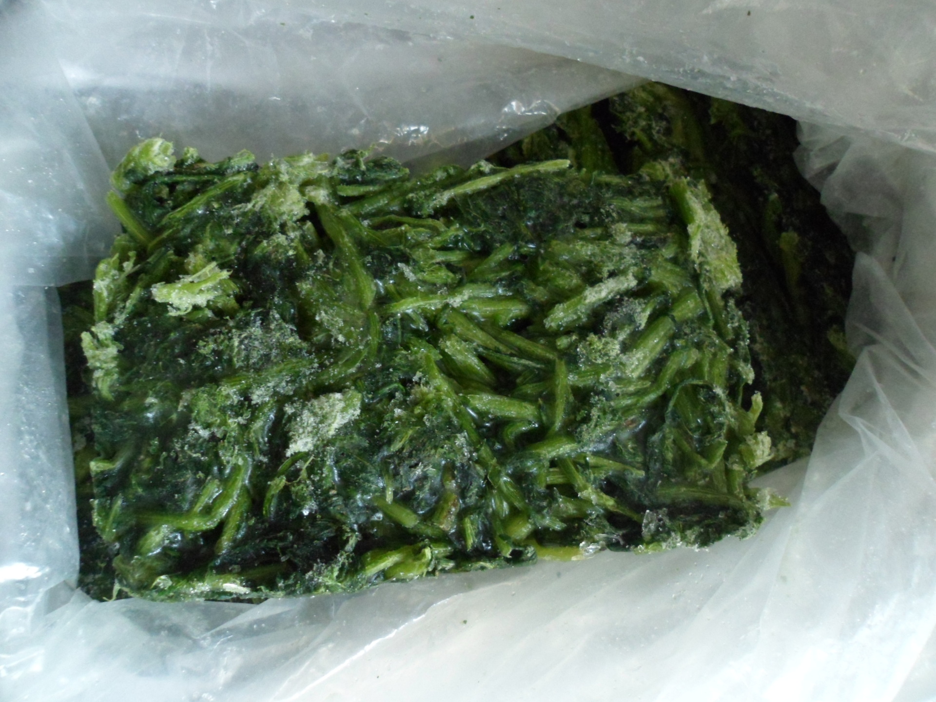 厂家直销冷冻茼蒿